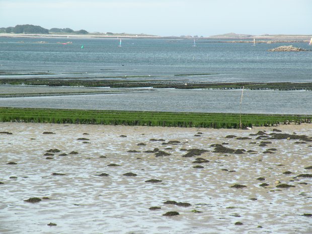  parc à moules